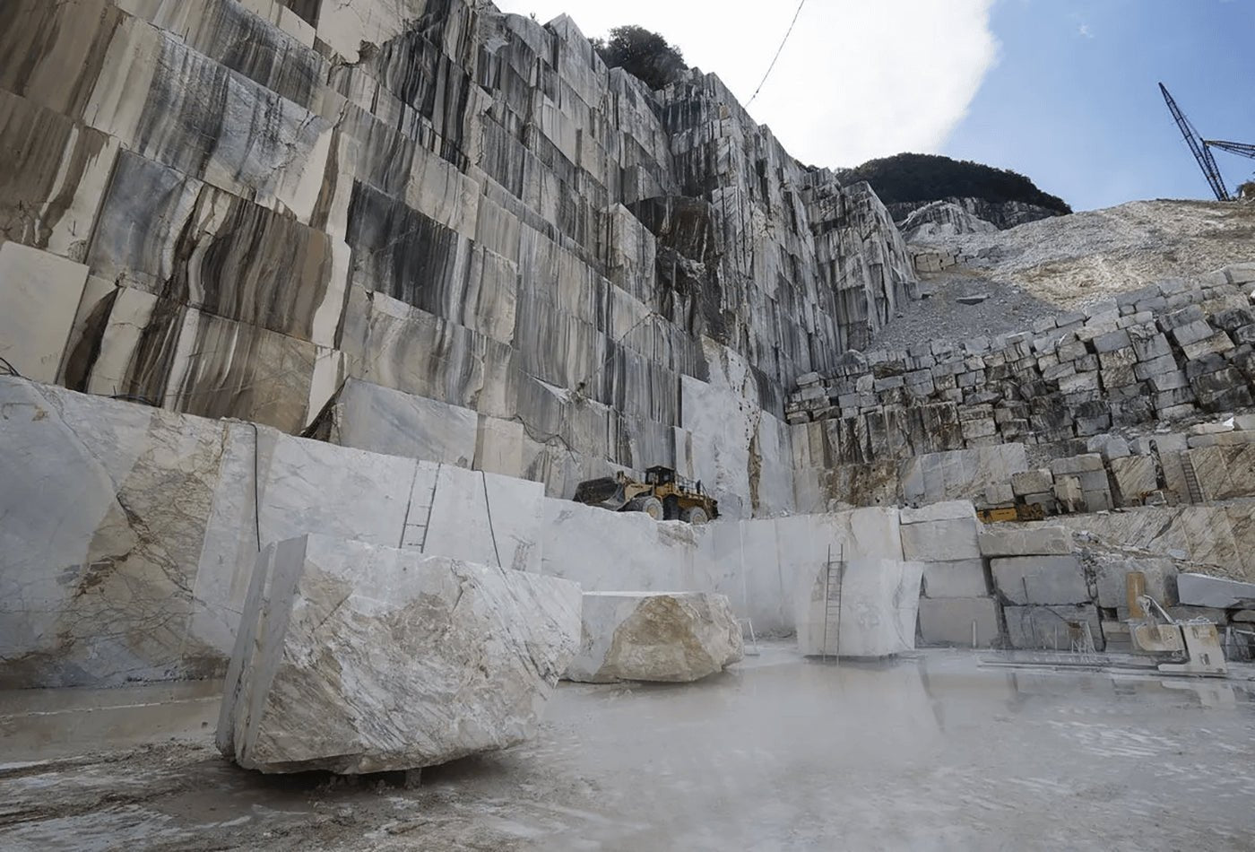 Different Types of Marble Used for Coffee Tables - Elsa Home And Beauty