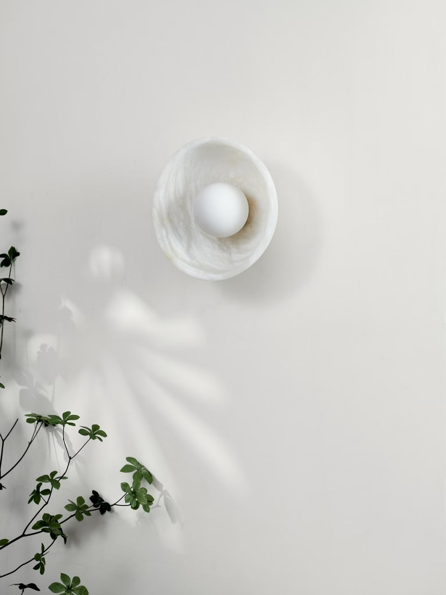Cara Alabaster Wall Sconce - Elsa Home And Beauty